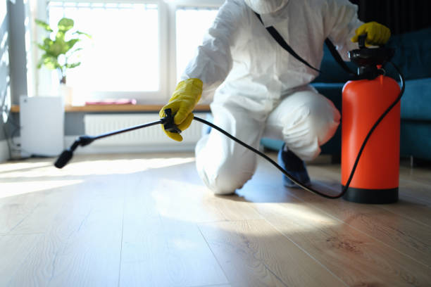 Reliable Odor Removal contractor in Hampton, SC by Dulley Family Biohazard Services